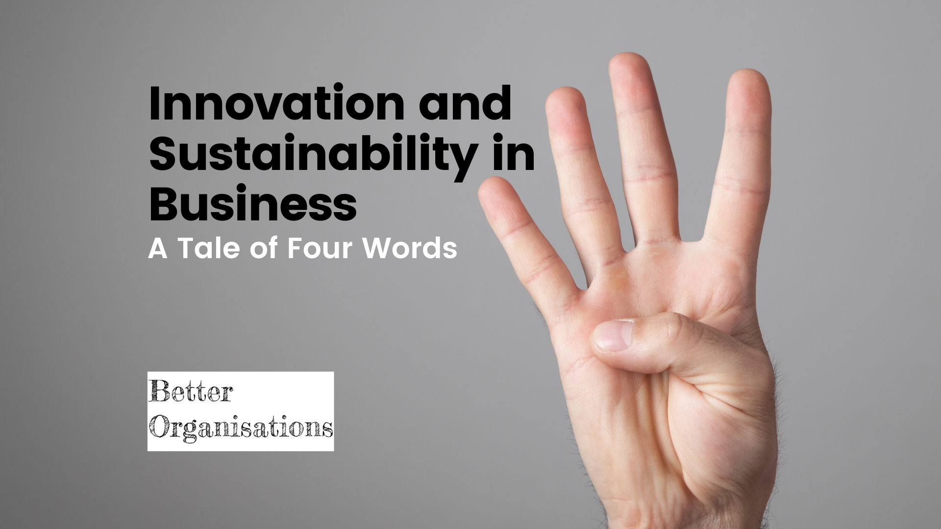 Innovation and Sustainability in Business